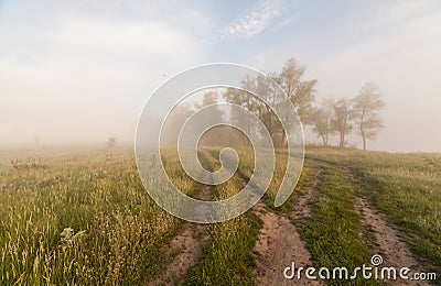 The Springtime Shoreline of a Foggy Mountain Lake at Sunrise Stock Photo