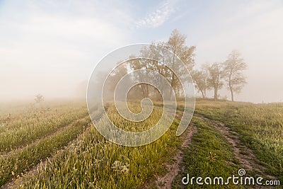 The Springtime Shoreline of a Foggy Mountain Lake at Sunrise Stock Photo