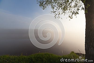 The Springtime Shoreline of a Foggy Mountain Lake at Sunrise Stock Photo
