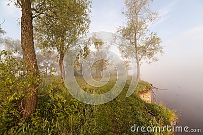 The Springtime Shoreline of a Foggy Mountain Lake at Sunrise Stock Photo