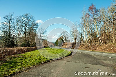 Springtime trees in a layby the British countryside. Stock Photo