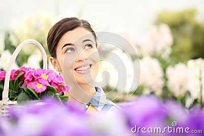 springtime woman smiling in garden and looking up with white wicker basket flowers of purple primroses Stock Photo