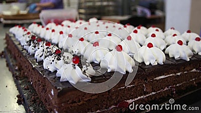 Decoration Of Biscuit Cakes Dark Chocolate Stock Footage Video Of Appetite Form