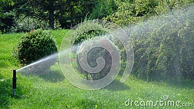 Sprinkler Stock Photo