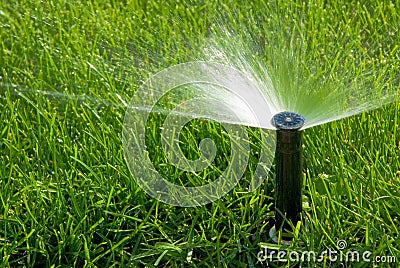 Sprinkler of automatic watering Stock Photo