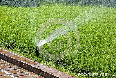 Sprinkler of automatic watering Stock Photo