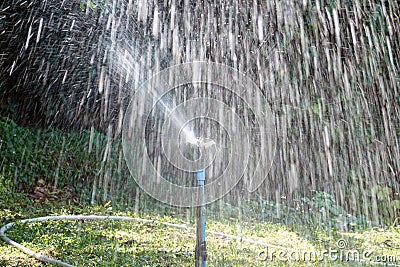 Sprinkler Stock Photo