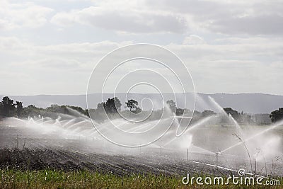 Sprinkler irrigation system Stock Photo