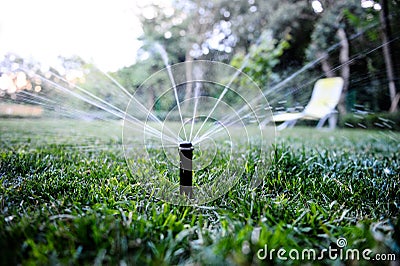 Sprinkler Spraying Water in Backyard Stock Photo