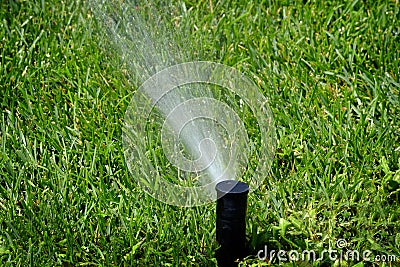 Sprinkler Spraying Water on Lush Green Lawn Yard Stock Photo