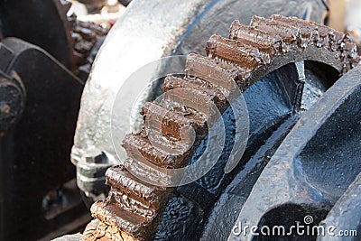 Sprocket Oiled Stock Photo