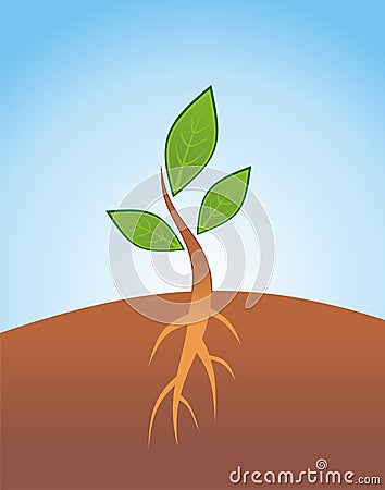 Sprout Vector Illustration