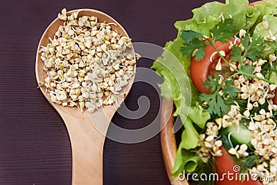 Sprouts. Buckwheat. Health. Vegetarianism. Snack. Salad Stock Photo