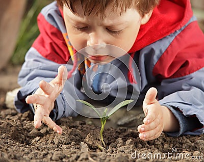 Sprout in children hand Stock Photo