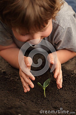 Sprout in children hand Stock Photo