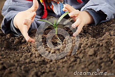 Sprout in children hand Stock Photo