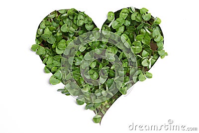Sprout green plants a heart shape Stock Photo