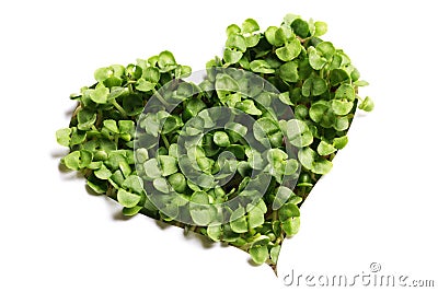 Sprout green plants heart Stock Photo