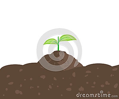 Sprout in the Ground Vector Illustration