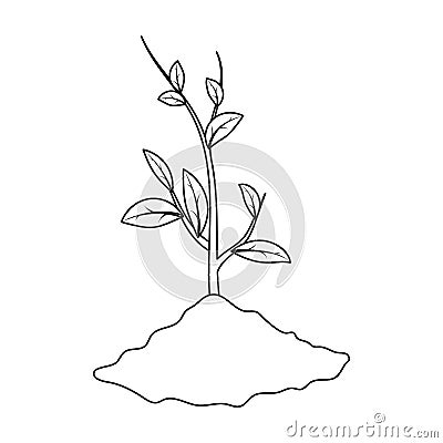 Sprout icon in outline style isolated on white background. Bio and ecology symbol stock vector illustration. Vector Illustration