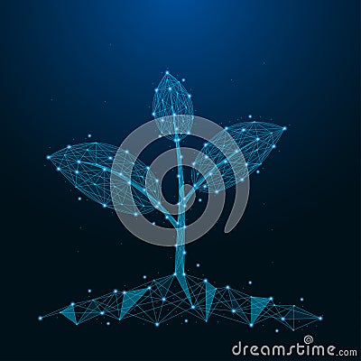 Sprout of plant made by points and lines. Low poly blue seedling. Polygonal wireframe mesh on night sky. Vector. Vector Illustration