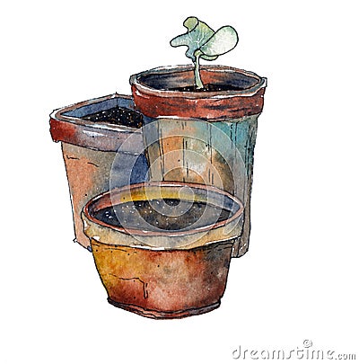 Sprout in a pot Stock Photo