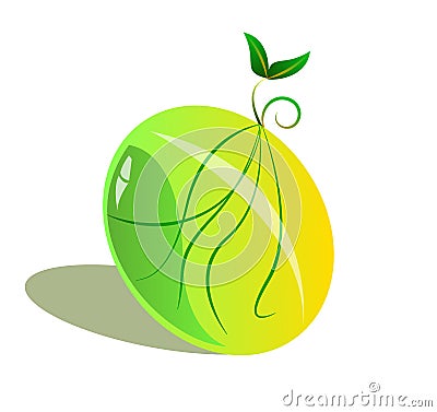 Sprout Seed With Roots Vector Illustration