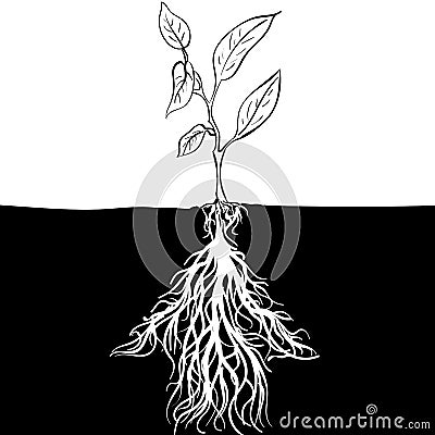 Sprout sketch with crooked root Arrow up potential Vector Illustration