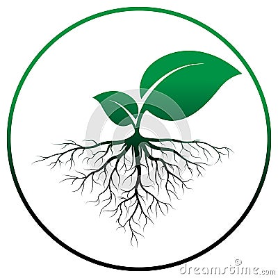 Sprout tree with root Vector Illustration