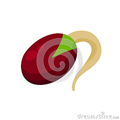 Sprouted beans. Soy grains with roots. Vector Illustration