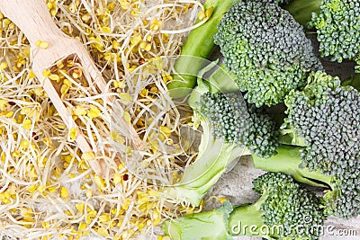 Sprouted broccoli seeds and fresh vegetable. Healthy lifestyle and nutrition Stock Photo