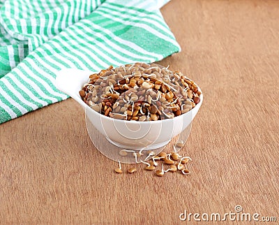 Sprouted Horse Gram Healthy Indian Food Stock Photo