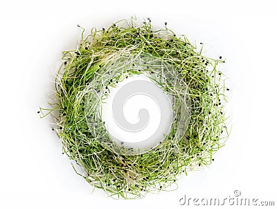 Sprouted onion seeds round wreath, top view, isolated on white Stock Photo