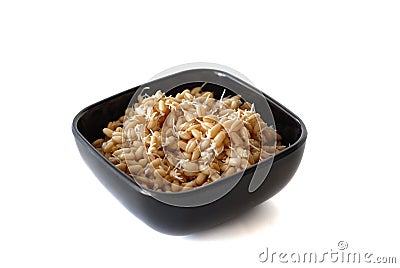 Sprouted Wheat Berries Stock Photo