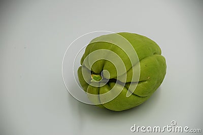 A sprouting chayote fruit bought in Oregon Stock Photo