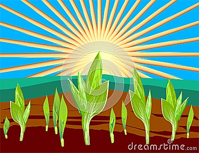 Sprouts illustration Vector Illustration