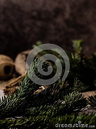 Spruce branch. Beautiful spruce branch with needles Stock Photo
