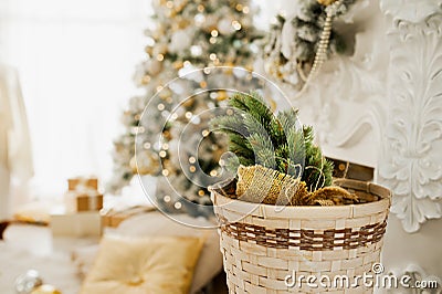 Spruce branch in wicker basket on background of beautiful Christmas decorated room with lot of lights in yellow colors, selecti Stock Photo