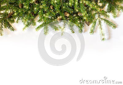 Spruce branches on white background Stock Photo