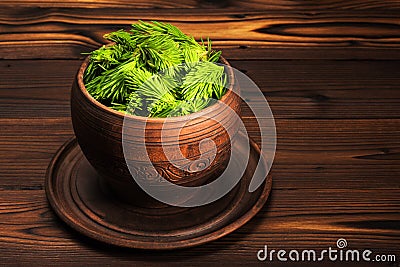 Spruce branches with young green shoots. Ethnoscience Stock Photo