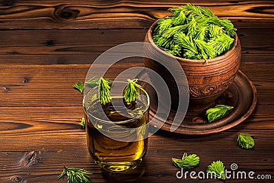 Spruce branches with young green shoots. Ethnoscience Stock Photo