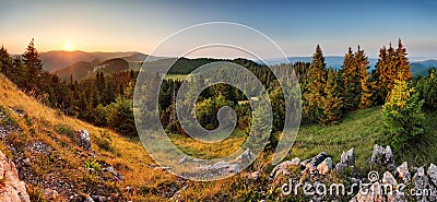 Spruce forest green mountain landscape panorama sunset - Slovakia Stock Photo