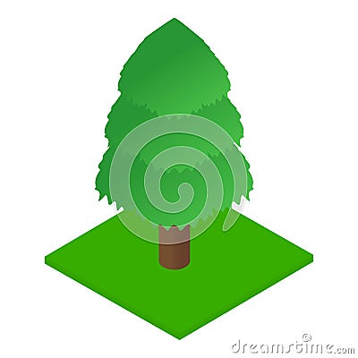 Spruce icon, isometric style Vector Illustration