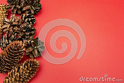 Spruce and pine cones on a red background card celebration Christmas new year Stock Photo