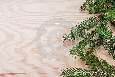 Spruce spring laying on plywood plank. Layout made of natural frame Stock Photo