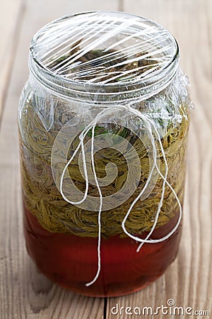 Spruce sprouts syrup - making of Stock Photo