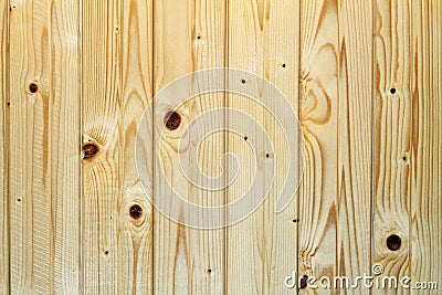 Spruce wainscot texture Stock Photo