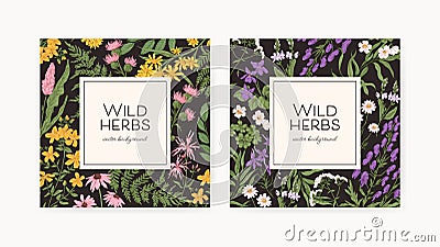 Square backgrounds with wild herbs frames. Botanical retro cards with field and meadow flower plants. Floral template Vector Illustration