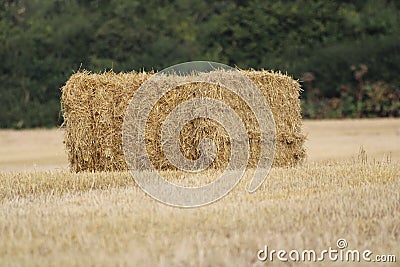 Square Bale of Hay on a Field Stock Photo