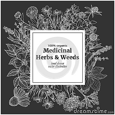 Square banner with chalk illustrations of medicinal herbs and flowers Vector Illustration